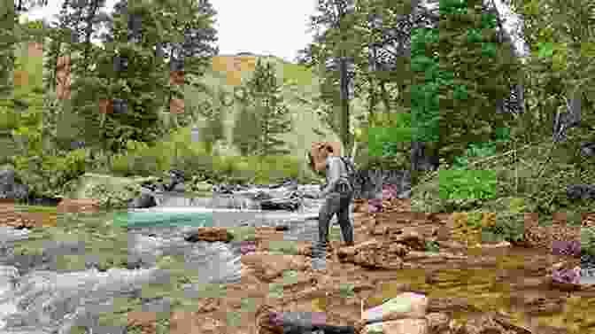 A Woman Fly Fishing In Wyoming, Surrounded By Mountains And A River Flyfisher S Guide To Wyoming Ken Retallic