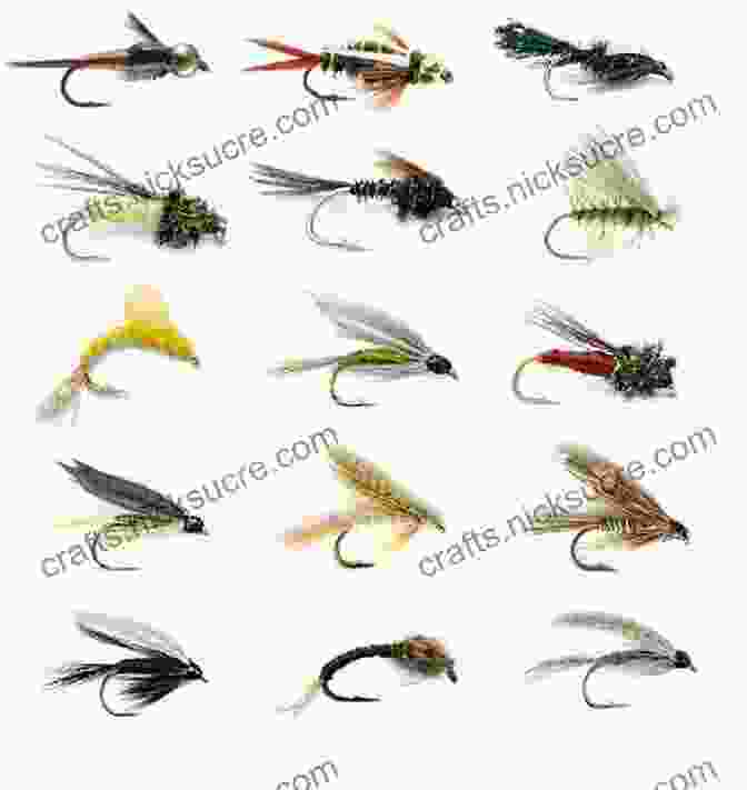 Assortment Of Specialized Fly Patterns For Trout Fishing Fly Fishing For Trout: The Next Level