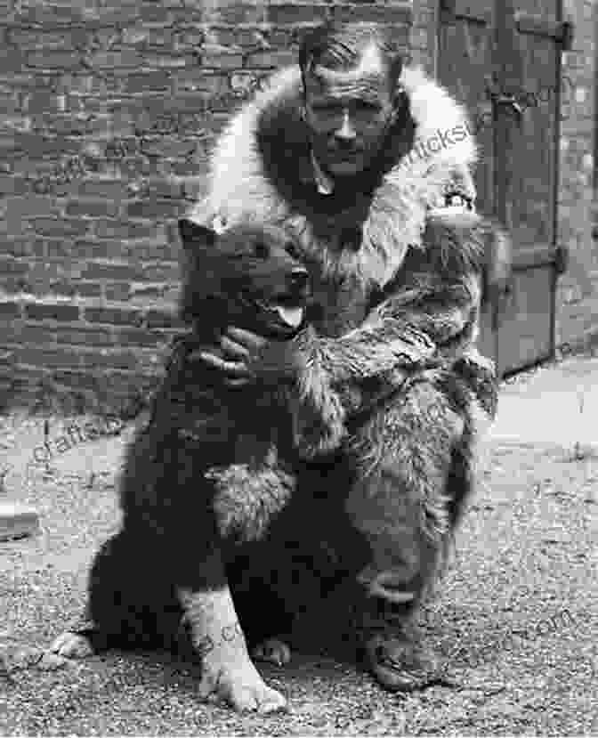 Balto, The Lead Dog Of The 1925 Serum Run The Adventures Of Balto: The Untold Story Of Alaska S Famous Iditarod Sled Dog