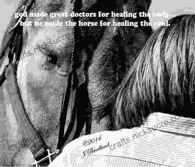 Book 1 Cover Of Rope Horse Healing: Connecting With Horses To Heal Trauma And Change Your Life The Story Of Blue: A Rope Horse (Healing Shine Trilogy 3)