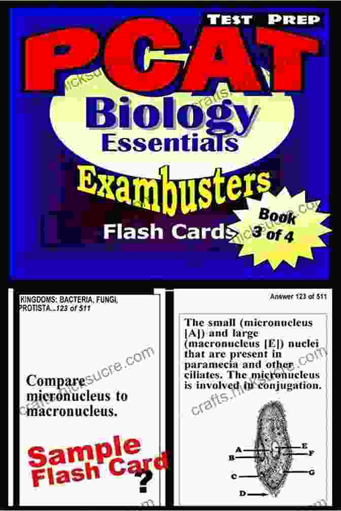Image Of A Stack Of PCAT Prep Biology Review Flash Cards PCAT Prep Test BIOLOGY REVIEW Flash Cards CRAM NOW PCAT Exam Review Study Guide (Cram Now PCAT Study Guide 3)