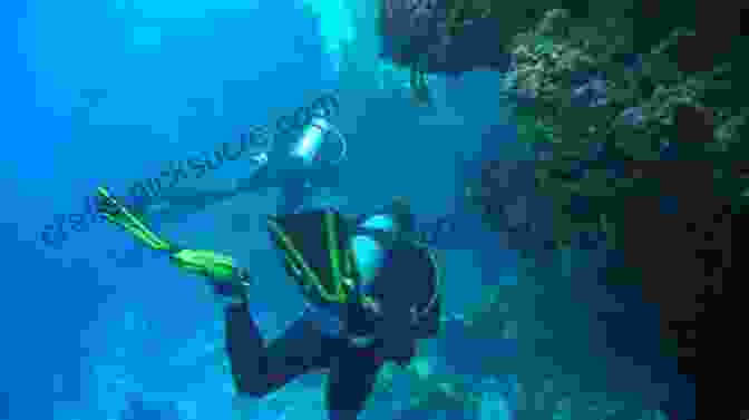 Scuba Diving At The Santa Rosa Wall, Cozumel, With Dive And Travel Cozumel Dive And Travel Cozumel Steve Rosenberg