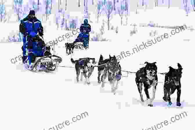 Sled Dog Team Navigating Rough Terrain The Adventures Of Balto: The Untold Story Of Alaska S Famous Iditarod Sled Dog