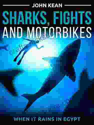 Sharks Fights And Motorbikes: When It Rains In Egypt