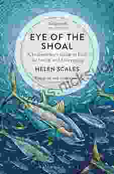 Eye Of The Shoal: A Fishwatcher S Guide To Life The Ocean And Everything