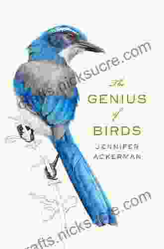 The Genius Of Birds Jennifer Ackerman