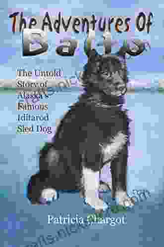 The Adventures Of Balto: The Untold Story Of Alaska S Famous Iditarod Sled Dog